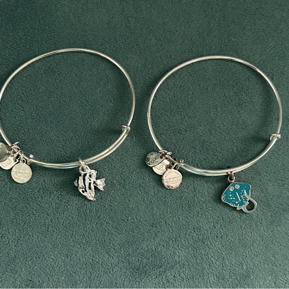Alex and Ani Silver Charm Bracelets- will sell separately